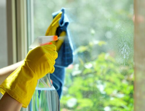 5 ingrédients écologiques et économiques pour nettoyer ses vitres.