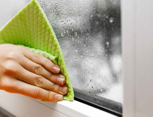 Condensation dans les fenêtres : causes et solutions